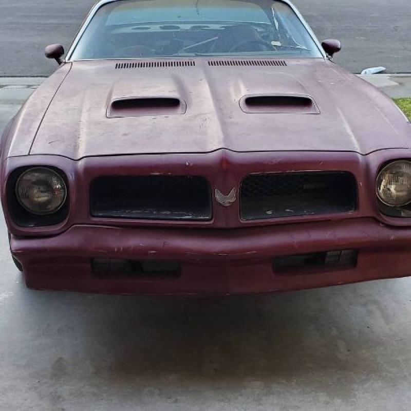 1976 Pontiac Firebird for sale in Michigan (ID-162713)