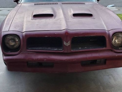 1976 Pontiac Firebird for sale