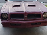 1976 Pontiac Firebird for sale in Michigan (ID-162713)