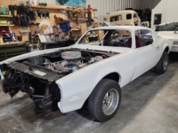 1976 Pontiac Firebird for sale in Michigan (ID-162713)