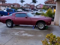 1976 Pontiac Firebird for sale in Michigan (ID-162713)