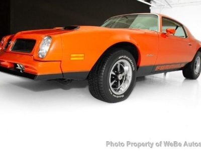 1976 Pontiac Firebird for sale