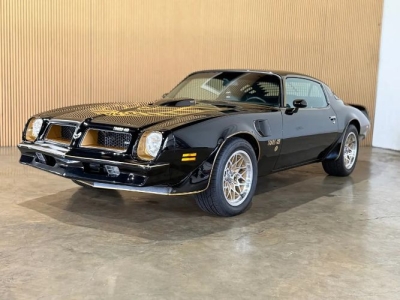 1976 Pontiac Firebird for sale