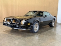 1976 Pontiac Firebird for sale in Michigan (ID-163902)