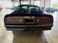 1976 Pontiac Firebird for sale in Michigan (ID-163902)