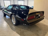 1976 Pontiac Firebird for sale in Michigan (ID-163902)