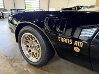 1976 Pontiac Firebird for sale in Michigan (ID-163902)