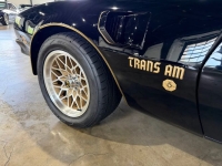 1976 Pontiac Firebird for sale in Michigan (ID-163902)