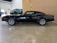 1976 Pontiac Firebird for sale in Michigan (ID-163902)