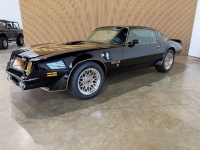 1976 Pontiac Firebird for sale in Michigan (ID-163902)