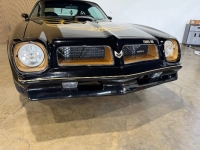 1976 Pontiac Firebird for sale in Michigan (ID-163902)