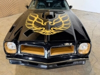 1976 Pontiac Firebird for sale in Michigan (ID-163902)