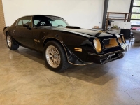 1976 Pontiac Firebird for sale in Michigan (ID-163902)