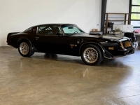 1976 Pontiac Firebird for sale in Michigan (ID-163902)
