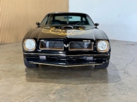1976 Pontiac Firebird for sale in Michigan (ID-163902)