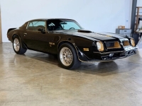 1976 Pontiac Firebird for sale in Michigan (ID-163902)