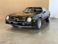 1976 Pontiac Firebird for sale in Michigan (ID-163902)