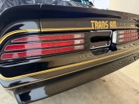 1976 Pontiac Firebird for sale in Michigan (ID-163902)