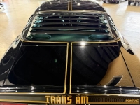 1976 Pontiac Firebird for sale in Michigan (ID-163902)
