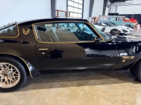 1976 Pontiac Firebird for sale in Michigan (ID-163902)
