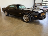 1976 Pontiac Firebird for sale in Michigan (ID-163902)