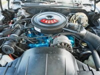 1976 Pontiac Formula for sale (ID-163562)