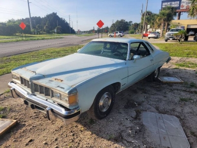 1976 Pontiac LeMans for sale