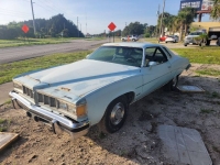 1976 Pontiac LeMans for sale in Michigan (ID-134441)