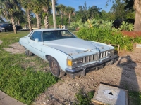 1976 Pontiac LeMans for sale in Michigan (ID-134441)