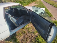 1976 Pontiac LeMans for sale in Michigan (ID-134441)