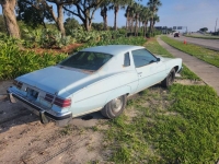 1976 Pontiac LeMans for sale in Michigan (ID-134441)