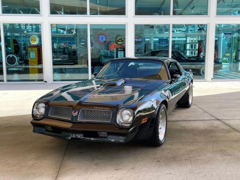 1976 Pontiac Trans Am for sale in Riverhead, New York (ID-102187)