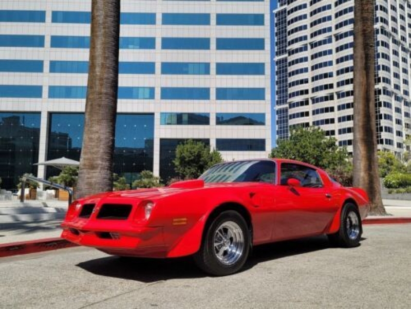 1976 Pontiac Trans Am for sale in Michigan (ID-103087)