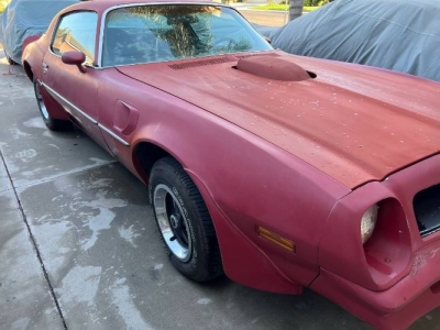 1976 Pontiac Trans Am for sale