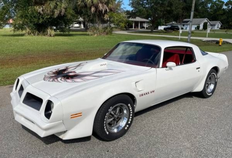 1976 Pontiac Trans Am for sale in Michigan (ID-108286)