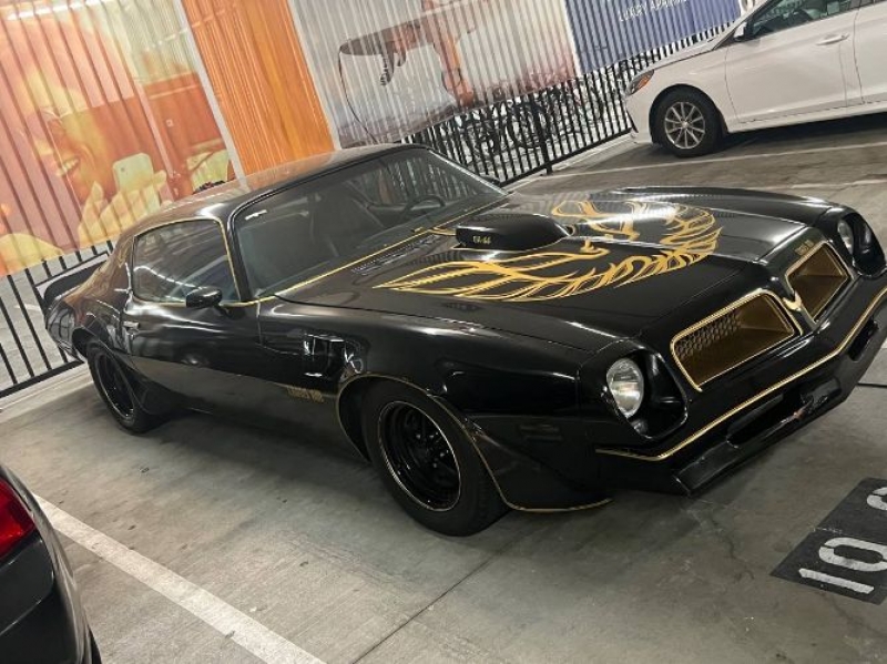 1976 Pontiac Trans Am for sale in Michigan (ID-109677) 1976 Pontiac Trans Am for sale in Michigan (ID-109677)