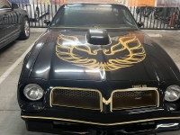 1976 Pontiac Trans Am for sale in Michigan (ID-109677)