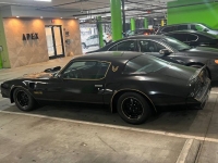 1976 Pontiac Trans Am for sale in Michigan (ID-109677)