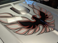 1976 Pontiac Trans Am for sale in Riverhead, New York (ID-122664)