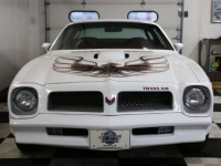 1976 Pontiac Trans Am for sale in Riverhead, New York (ID-123823)