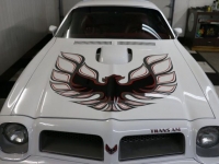 1976 Pontiac Trans Am for sale in Riverhead, New York (ID-123823)