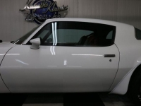 1976 Pontiac Trans Am for sale in Riverhead, New York (ID-123823)