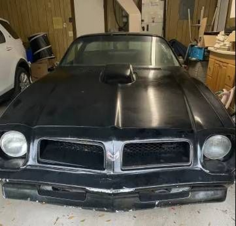 1976 Pontiac Trans Am for sale in Michigan (ID-124528)