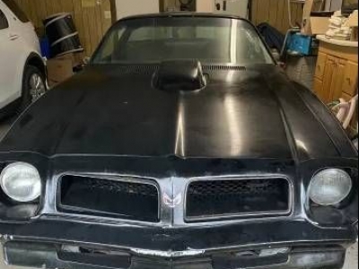 1976 Pontiac Trans Am for sale