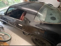 1976 Pontiac Trans Am for sale in Michigan (ID-124528)