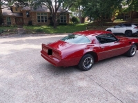 1976 Pontiac Trans Am for sale in Michigan (ID-132916)