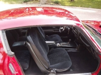 1976 Pontiac Trans Am for sale in Michigan (ID-132916)
