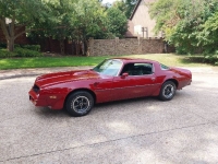 1976 Pontiac Trans Am for sale in Michigan (ID-132916)