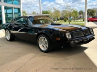 1976 Pontiac Trans Am for sale in Riverhead, New York (ID-133509)