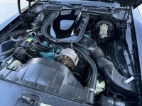 1976 Pontiac Trans Am for sale in Riverhead, New York (ID-134066)